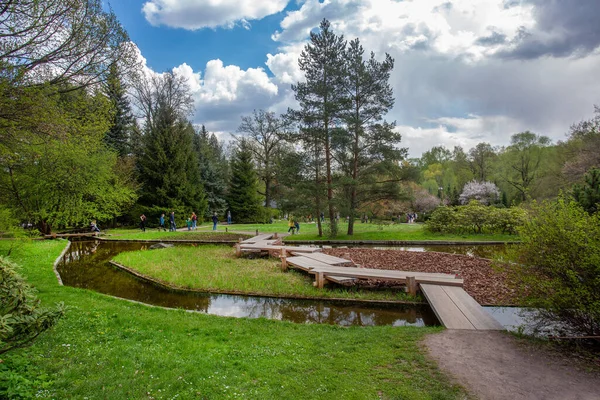 Jardín Japonés Moscú Muchas Personas Ahora Principios Mayo Cerezo Floreciendo — Foto de Stock