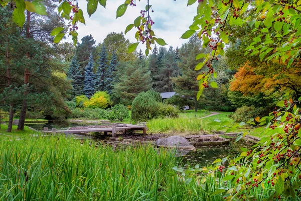 Μόσχα Ιαπωνικό Κήπο Φθινόπωρο Λίμνη Και Αντανακλάσεις Αυτό Από Κόκκινα — Φωτογραφία Αρχείου