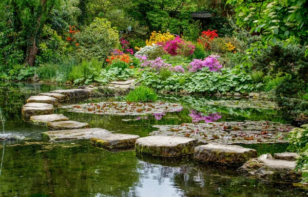 Pond ve rhododendron çiçekleri ve Leverkusen 'deki Japon bahçesindeki sudaki yansıma