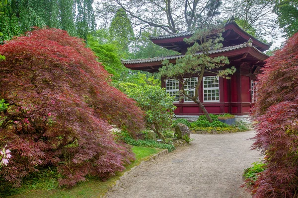 Будівля Квітка Рододендронів Японському Саду Леверкузені Німеччина — стокове фото