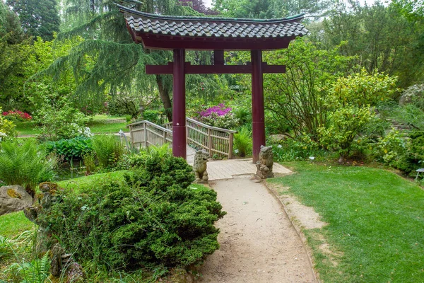 Increíble Naturaleza Jardín Japonés Leverkusen Puertas Japonesas Rododendros Rojos Fondo — Foto de Stock