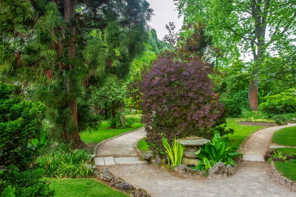 Μεγαλοπρεπείς Πολύχρωμοι Θάμνοι Ροδοδέντρου Ανθίζουν Ιαπωνικό Κήπο Στο Leverkusen Γερμανία — Φωτογραφία Αρχείου