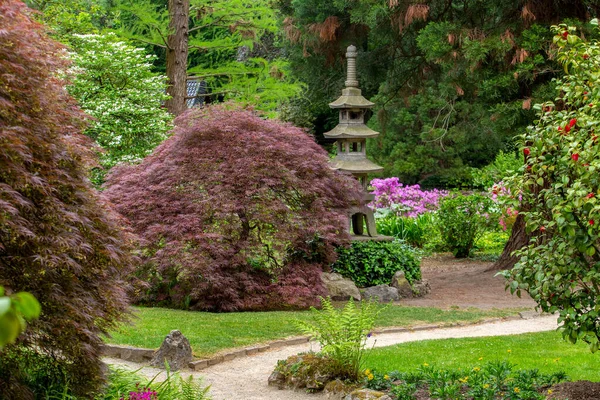 Vista Incrível Jardim Japonês Leverkusen Lanterna Maçãs Japonesas Com Folhas — Fotografia de Stock