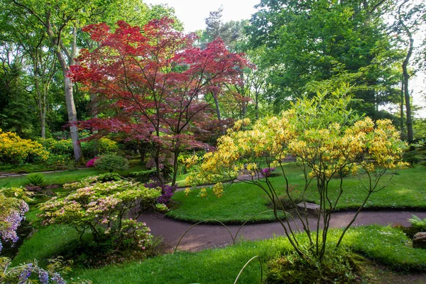Damm Och Reflektioner Pond Japansk Trädgård Haag Japansk Trädgård Blom — Stockfoto