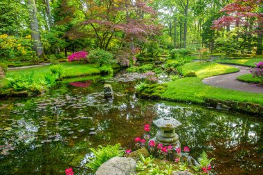 Lahey 'deki Japon bahçesindeki poand manzarası inanılmaz. Gölet ve yansımalar, Japon ağaçlarını kırmızı yapraklarla donatır. 