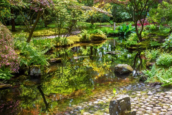 Awe Blossom Yellow Rhododendrons Other Plants Japanese Garden Hague Reflections — Stock Photo, Image