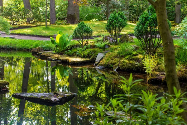 Fantastisk Utsikt Över Dammen Japansk Trädgård Haag Damm Och Reflektioner — Stockfoto