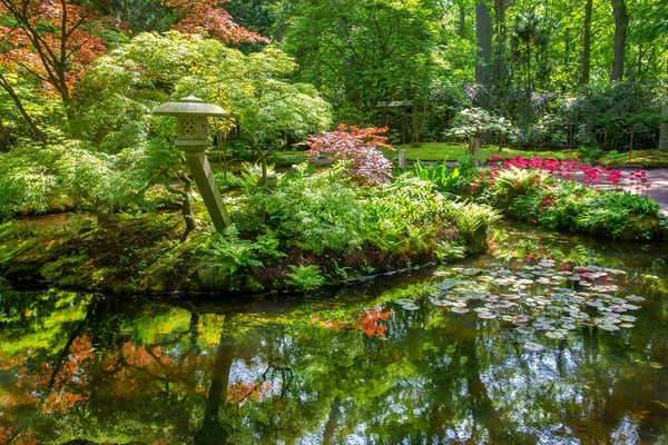 Impresionante Vista Poand Jardín Japonés Haya Estanque Reflejos Arce Japonés —  Fotos de Stock