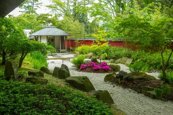 Increíble Flor Rododendro Reflexión Estanque Jardín Japonés Leiden Día Soleado —  Fotos de Stock