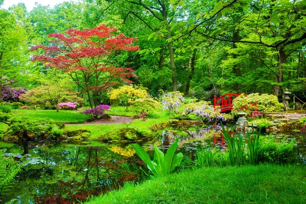 Amazing View Japanese Garden Hague Blossoming Rhododendrons Japanese Bridge — Stock Photo, Image