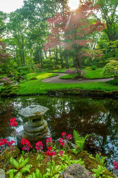 Fantastic View Japanese Garden Hague Lantern Nature Sunny Day Netherlands — Stock Photo, Image
