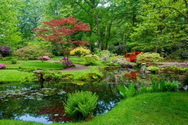 Çiçek açan doğanın renkli çayırı ve Japon kırmızı köprüsü ve parlak çiçek noktaları ve Lahey 'deki Japon bahçesindeki gölet.
