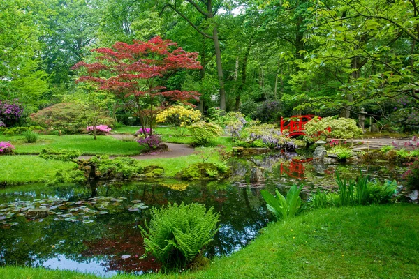 Colorido Prado Floreciente Naturaleza Puente Rojo Japonés Manchas Brillantes Flores —  Fotos de Stock