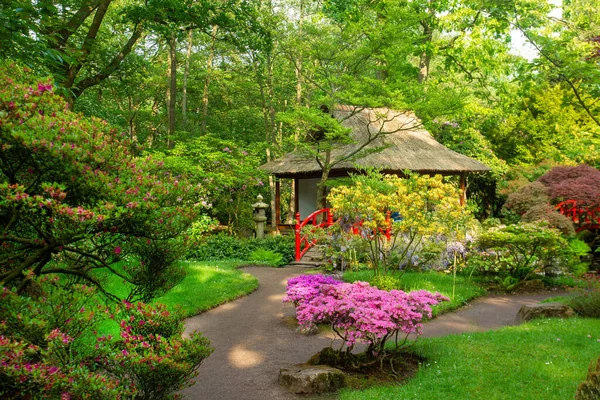 Vista Impresionante Prhododendronarbustos Rosados Techo Paja Del Pabellón Jardín Japonés — Foto de Stock