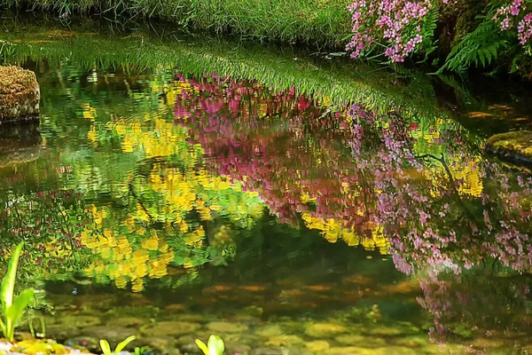 Increíble Vista Los Rododendros Florecientes Estanque Jardín Japonés Haya Países —  Fotos de Stock