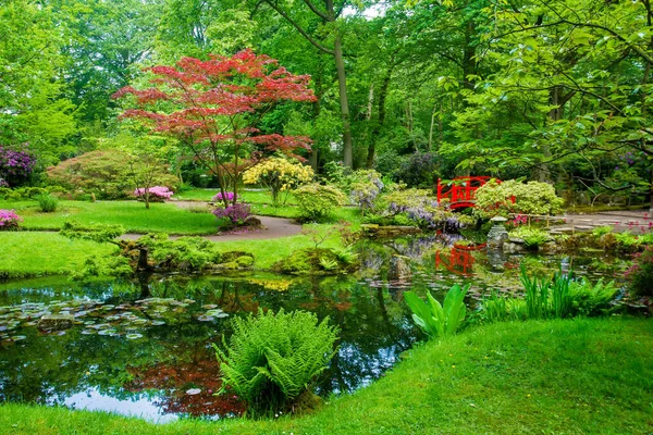 Fantastica Scena Giardino Giapponese Maggio All Aia Primavera Nei Paesi — Foto Stock