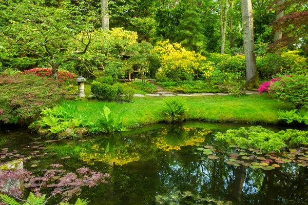 Awe scene in japanese garden  at May in the Hague:  pond ,  yellow  flowering rhododdendrons and reflection in water . Beauty in nature in Netherlands