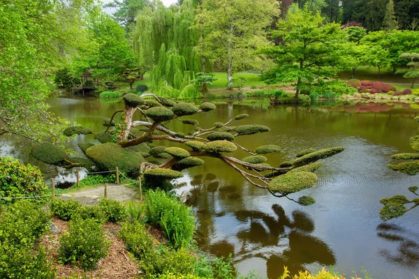Árvores Topiárias Lagoa Jardim Japonês Pays Loire França Aldeia Maulivrier — Fotografia de Stock