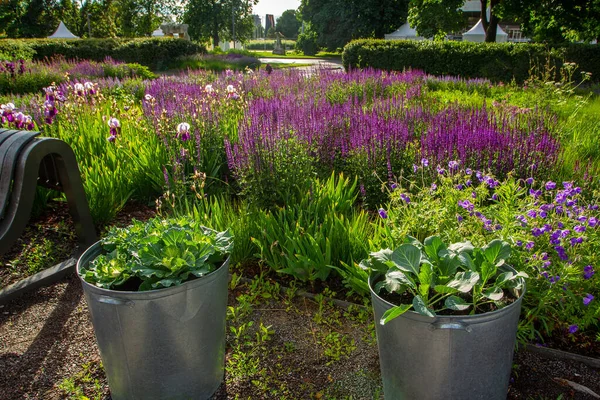 Skönhet Naturen Moskva Park Muzeon Ryssland Dekoration Livet Denna Park — Stockfoto