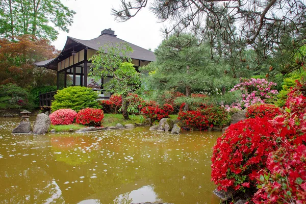 德国波茨坦的日本花园盛开着令人惊叹的红色和粉色杜鹃花 塔楼为亭子 池塘为褐色水 — 图库照片