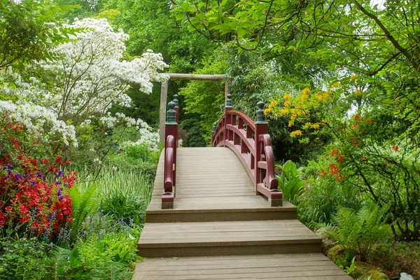 五月份在Leverkusen的令人惊奇的日本花园 公园里有一座木制桥梁的美丽的自然景观 — 图库照片