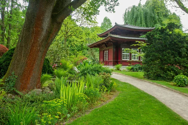 Úžasná Japonská Zahrada Květnu Leverkusenu Krásná Přírodní Krajina Veřejném Parku — Stock fotografie