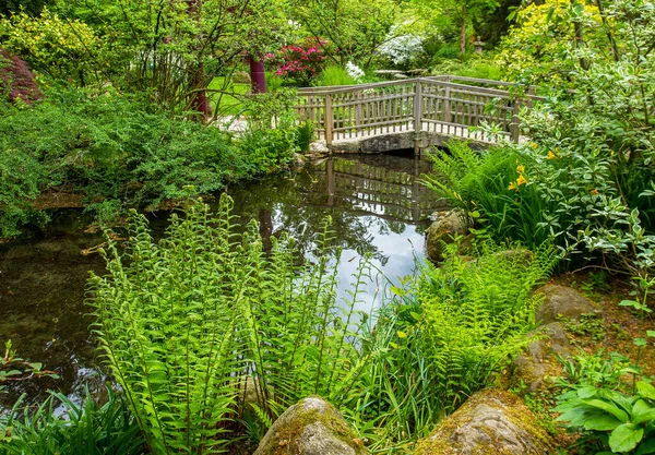 Дивовижний Японський Сад Леверкусені Травні Чудовий Краєвид Громадському Парку Дерев — стокове фото