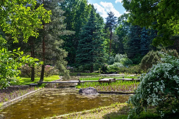 Καταπληκτικός Ιαπωνικός Κήπος Στη Μόσχα Ξύλινοι Κάδοι Γέφυρα Για Διασχίσετε — Φωτογραφία Αρχείου