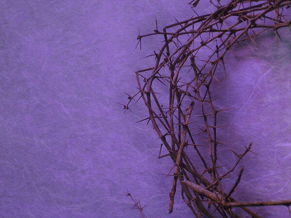 half crown of thorns on purple background with negative space on the left side