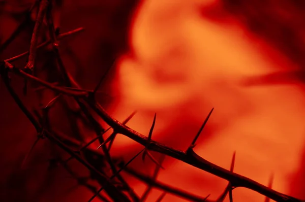 Blood Red Crown Thorns Close Old Wooden Beam Cloth — Stock Photo, Image