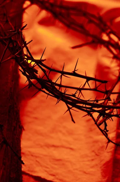 Couronne Rouge Sang Épines Près Avec Vieille Poutre Bois Sur — Photo