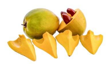 Yumurta meyve, Canistel, sarı sapot (Pouteria campechiana (Kunth)