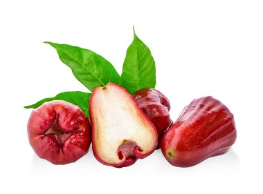 gül elması beyaz arkaplanda izole