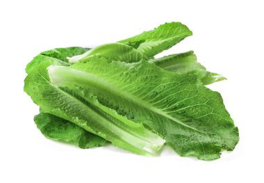 Çince lahana sebze izole 