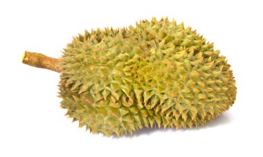 Beyaz arka plan izole taze Durian. Durian, Trop kralı