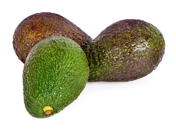 Avocado isolato su sfondo bianco — Foto Stock