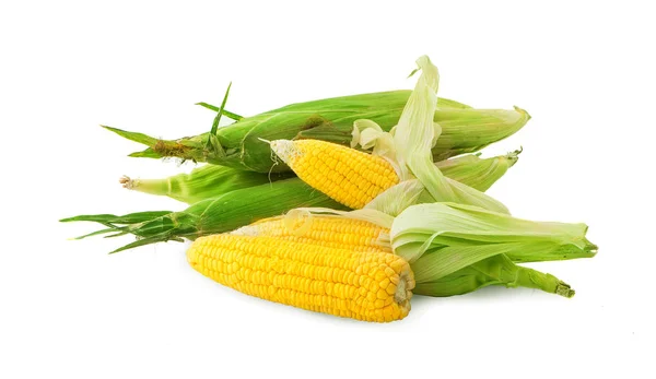 Oreja de maíz aislada sobre fondo blanco —  Fotos de Stock