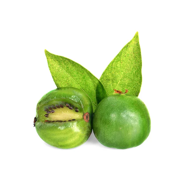 Mini kiwi baby fruit op witte achtergrond — Stockfoto