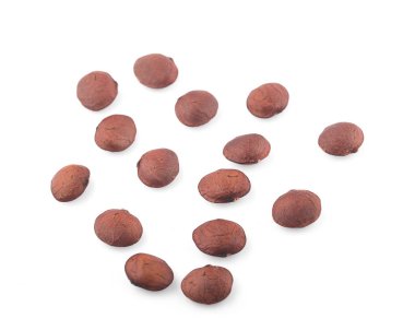 yıldız fasulyesi beyaz arkaplanda izole.