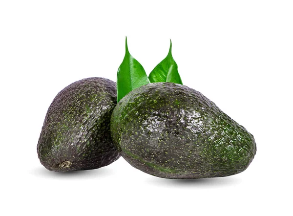 Avocado con foglia di avocado isolata su sfondo bianco — Foto Stock