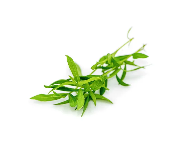 Färska ruccola blad en isolerad på vit bakgrund — Stockfoto