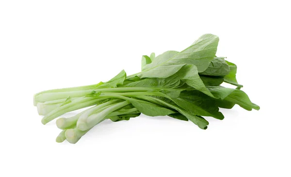 Bok choy vegetal aislado sobre el fondo blanco. — Foto de Stock