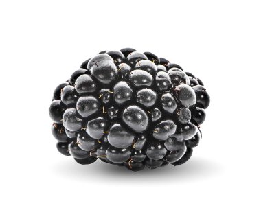 Böğürtlen Beyaz arkaplanda izole