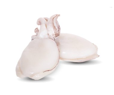 Beyaz arkaplanda taze mürekkep balığı izole edildi