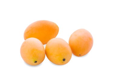 Haritalandırma beyaz arkaplanda izole edildi