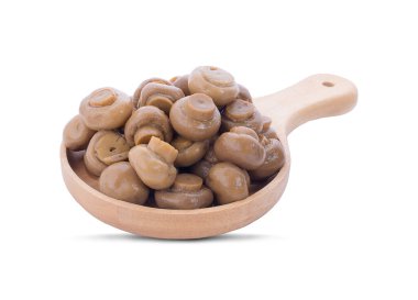 Beyaz arka planda taze çiğ şampiyon mantarları