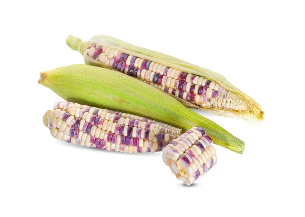 Egyfülű Kukorica Izolált Fehér Alapon — Stock Fotó