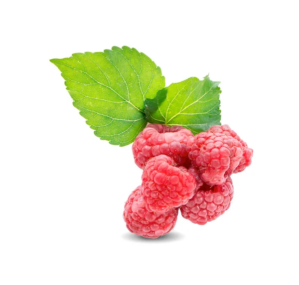 Himbeeren Isoliert Auf Weißem Hintergrund Draufsicht — Stockfoto