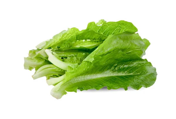 Bok Choy Vegetabiliska Isolerad Den Vita Bakgrunden — Stockfoto