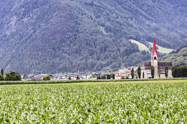 Tures dans la vallée de l'Aurina dans les Alpes, Italie — Photo